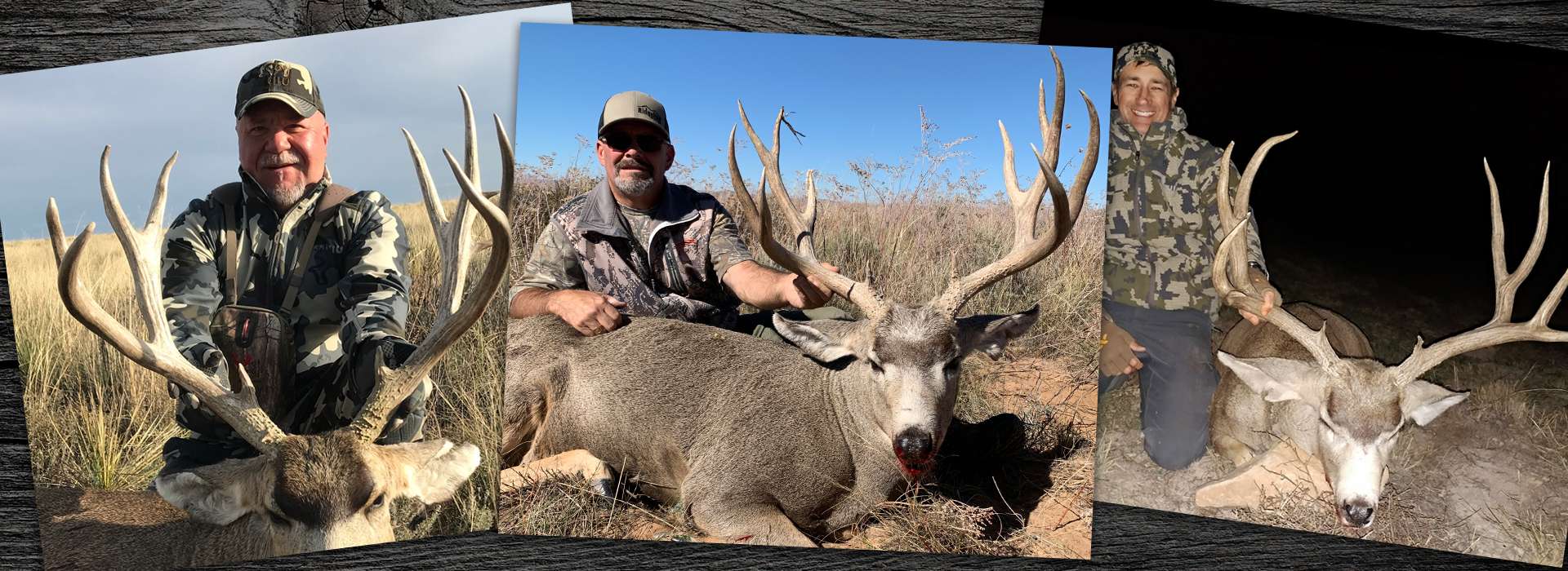 Private Land Mule Deer Hunts New Mexico Private Land Mule Deer Hunts New Mexico