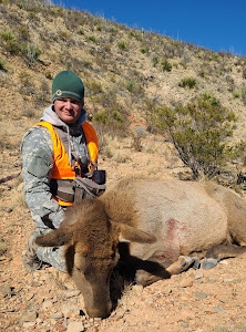 Affordable Elk Hunts in New Mexico Cow Elk Hunts